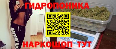 твердый Партизанск