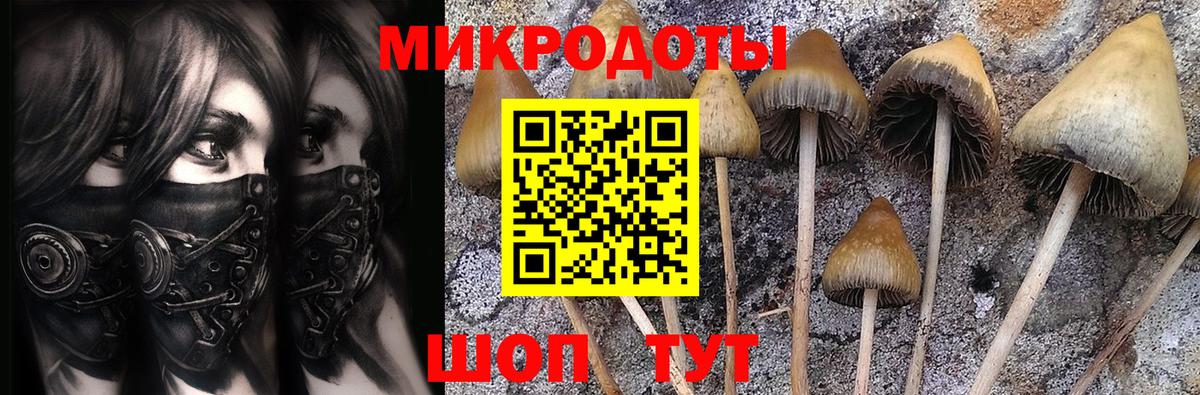 Псилоцибиновые грибы Psilocybine cubensis  Вход с VPN  Галлюциногенные грибы ЛСД  закладки  Соликамск 